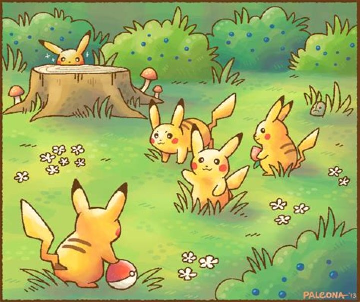 Pikachu in the wild